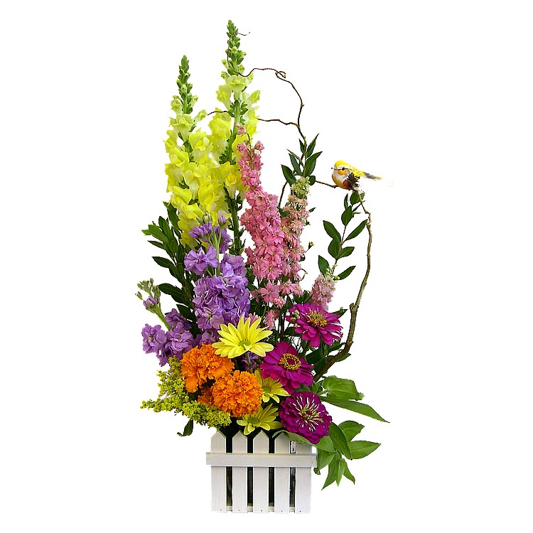 Color-blocked garden-inspired design