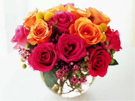 Compact mixed rose bowl