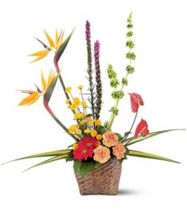 Contemporary tropical basket design